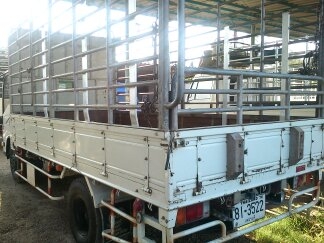 6 ล้อ EuRo.3 NMR 130 แรง *คอมมอนเรว* ยาว 4.30ม. รถสวยเดิม+สวยจริง *รถห้างแท้ 100\%*