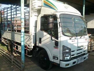 6 ล้อ EuRo.3 NMR 130 แรง *คอมมอนเรว* ยาว 4.30ม. รถสวยเดิม+สวยจริง *รถห้างแท้ 100\%*