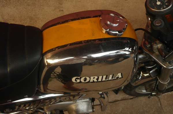 ขาย HONDA GORILLA LIMITED ขาย HONDA GORILLA LIMITED