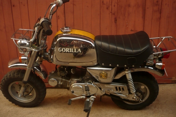 ขาย HONDA GORILLA LIMITED ขาย HONDA GORILLA LIMITED