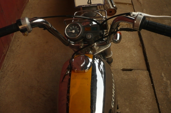 ขาย HONDA GORILLA LIMITED ขาย HONDA GORILLA LIMITED