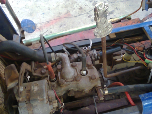 ขายน้อง 2 ตุ๊ก สภาพสวย