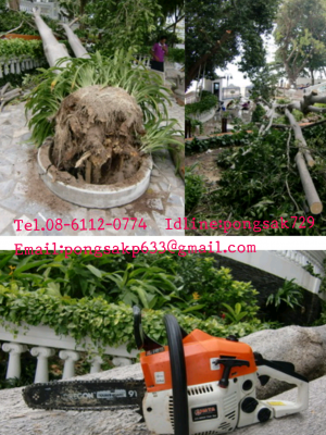 .รับงานตัดหญ้า  -ตัดต้นไม้ -ตัดแต่งกิ่งไม้ทุกชนิด เคลียร์พื้นที่รกร้างต่างๆ