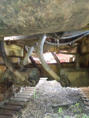 ขายเกษตรพัฒนา จ้าวช้างไวไฟปี53