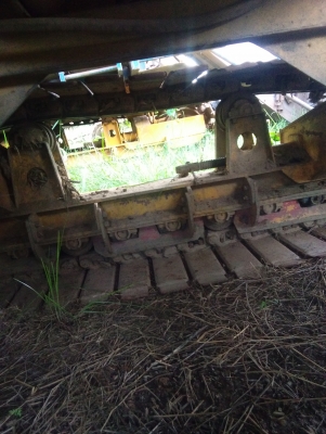 ขายเกษตรพัฒนา จ้าวช้างไวไฟปี53