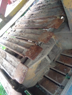 ขายเกษตรพัฒนา จ้าวช้างไวไฟปี53