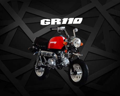 GR110 ช่วงโปรโมชั่น