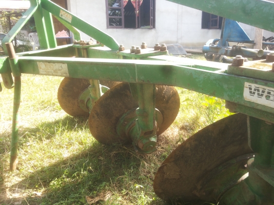 ผานสามใบ24