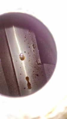 ขายถังน้ำมัน 500 ลิตร