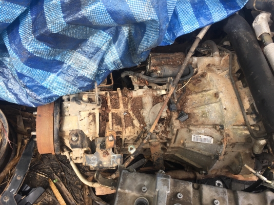 ขายรถ 6 ล้อ 130 เเรง...รถชนมา isuzu NKR71AY52A3 รถห้างเเท้ๆ 49เล่ม ม.79 เครื่องเกียร์ช่วงล่าง ดีไม่โดนคัสซีหน้าบิดนิดหน่อย สอบถามได้