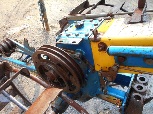 ขายตัวอยุธยาสวยๆครับตัวค้อนค้างให่มครับ ขายตัวอยุธยาสวยๆครับตัวค้อนค้างให่มครับ