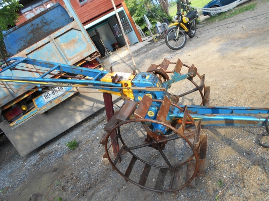 ขายตัวอยุธยาสวยๆครับตัวค้อนค้างให่มครับ ขายตัวอยุธยาสวยๆครับตัวค้อนค้างให่มครับ