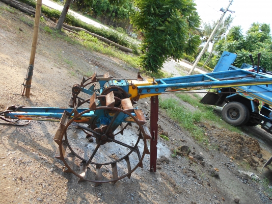 ขายตัวอยุธยาสวยๆครับตัวค้อนค้างให่มครับ ขายตัวอยุธยาสวยๆครับตัวค้อนค้างให่มครับ