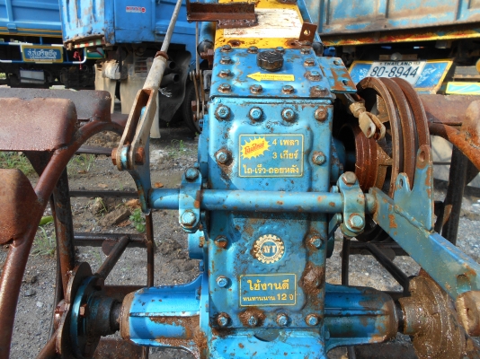 ขายตัวอยุธยาสวยๆครับตัวค้อนค้างให่มครับ