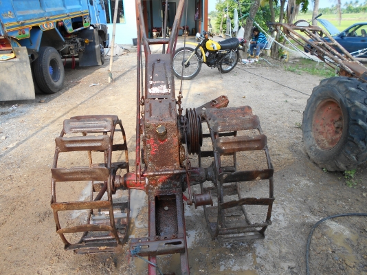 ขายตัวกะทิงแดงตัวดีพร้อมใช้ครับ ขายตัวกะทิงแดงตัวดีพร้อมใช้ครับ