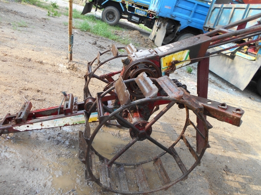 ขายตัวกะทิงแดงตัวดีพร้อมใช้ครับ ขายตัวกะทิงแดงตัวดีพร้อมใช้ครับ