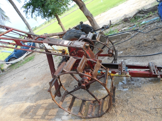 ขายตัวกะทิงแดงตัวดีพร้อมใช้ครับ