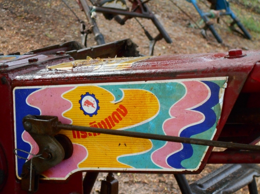 ขายตัวกระทิงแดงสวยๆมีสองตัวครับ แน้นสวยครับ ขายตัวกระทิงแดงสวยๆมีสองตัวครับ แน้นสวยครับ