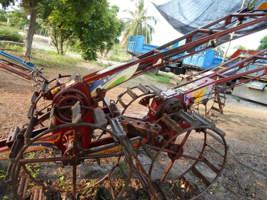 ขายตัวกระทิงแดงสวยๆมีสองตัวครับ แน้นสวยครับ ขายตัวกระทิงแดงสวยๆมีสองตัวครับ แน้นสวยครับ