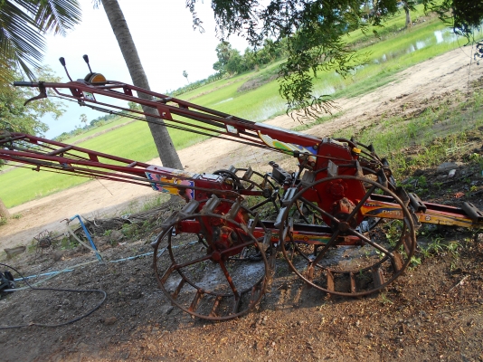 ขายตัวกระทิงแดงสวยๆมีสองตัวครับ  แน้นสวยครับ