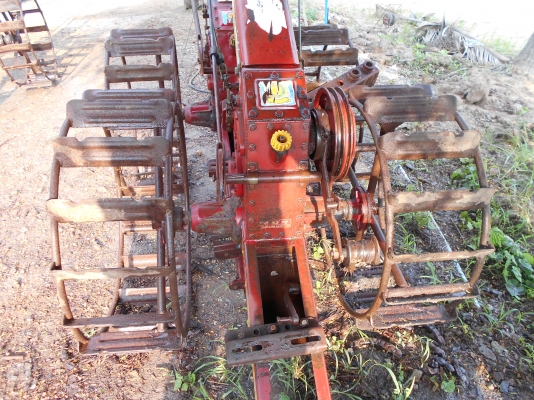 ขายตัวกระทิงแดงสวยๆมีสองตัวครับ แน้นสวยครับ ขายตัวกระทิงแดงสวยๆมีสองตัวครับ แน้นสวยครับ