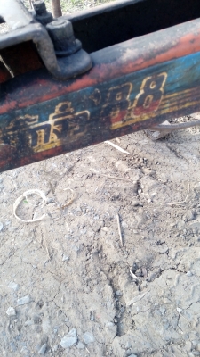 ขายตัวครับ สวยๆพร้อมใช้ราคาถูกๆกันเลยครับ. บิ๊กจิว ขายตัวครับ สวยๆพร้อมใช้ราคาถูกๆกันเลยครับ. บิ๊กจิว