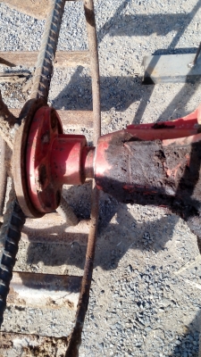 ขายตัวสิงสยามสภาพค้อนค้างให่มครับ สวยยังไม่เคยเปิดครับ