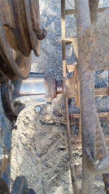 ขายตัวรุ้งเพชร ขายตามสภาพครับ ขายตัวรุ้งเพชร ขายตามสภาพครับ