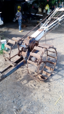 ขายตัวรุ้งเพชร ขายตามสภาพครับ ขายตัวรุ้งเพชร ขายตามสภาพครับ