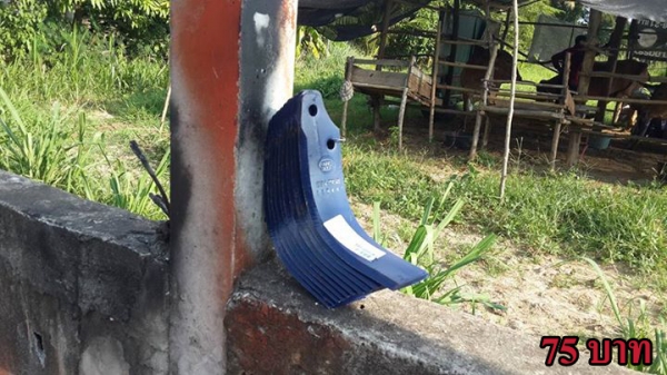 ใบโรตาลี่7.0มิล