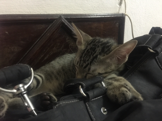 ขายรถ และ เรือ สภาพตามรูปค่ะ