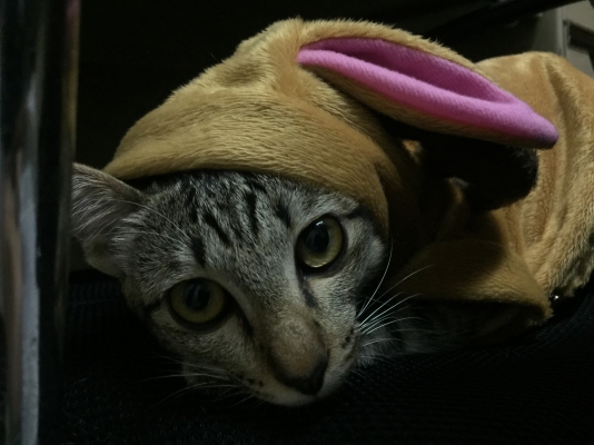 ขายรถ และ เรือ สภาพตามรูปค่ะ