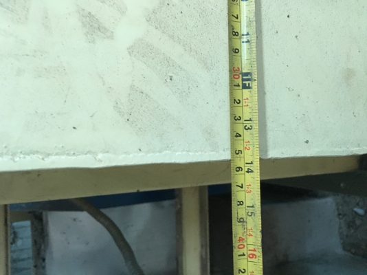 ขายต้นกระเพาะลำเลียง