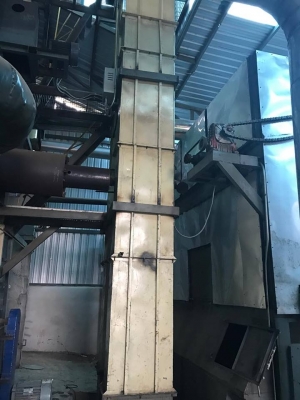 ขายต้นกระเพาะลำเลียง