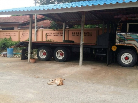 ขายหางเทรนเลอรขึ้น200ได้ใส่อีสุสุอยู่