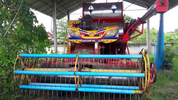 ขายเจ้าช้าง