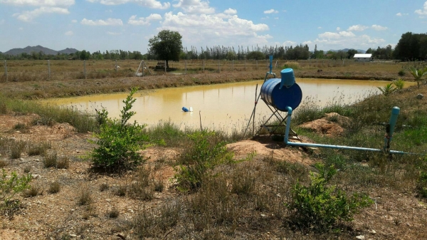 ขายบ้านพร้อมที่ดิน อ.จอมบึง จ.ราชบุรี เนื้อที่ 7 ไร่เต็ม เป็นโฉนดที่ดินติดถนนลาดยาง อยู่ห่างจากมหาวิทยาลัยราชภัฏจอมบึงประมาณ 8 ก.ม. วิ่งไปทะลุสวนผึ้งได้ มีบ้านพักอาศัยชั้นเดียว 1 หลัง ติดแอร์ทั้งสองห้องเลย และในบ้านมีเฟอร์นิเจอร์ไม้สักหลายชิ้นให้หมด และบ้