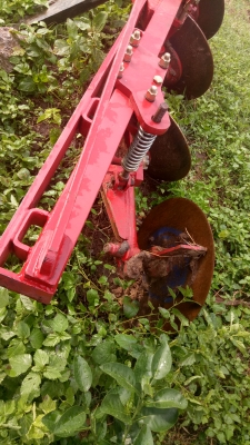 ขายหางสามโครงสี่ ของKK จาน26นิ้ว ขายหางสามโครงสี่ ของKK จาน26นิ้ว