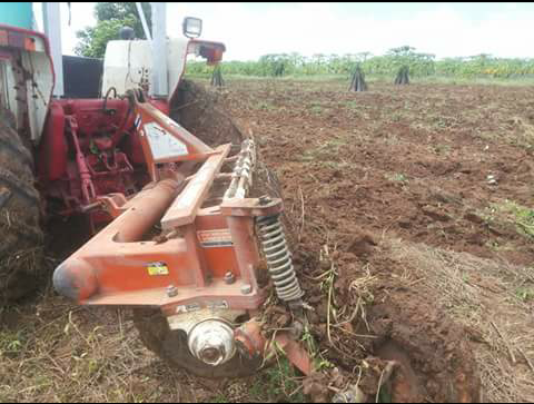 ผานcmt 5ใบบ้องเล็ก