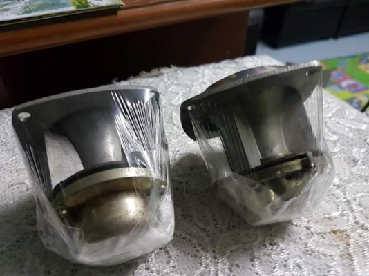 เสียงแหลม.ไพโอเนีย