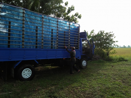 ขาย ISUZU ELF NQR 120 ปี46 กระบะยาว 5.5 ราคา 455,000 บาท