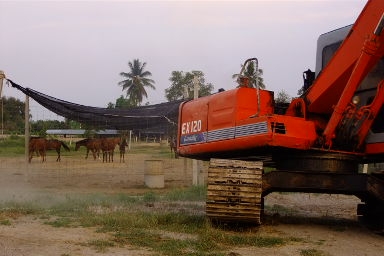 ขาย Hitachi 100 - 1 เอกสาน อินวอย์ รถพร้อมทำงาน