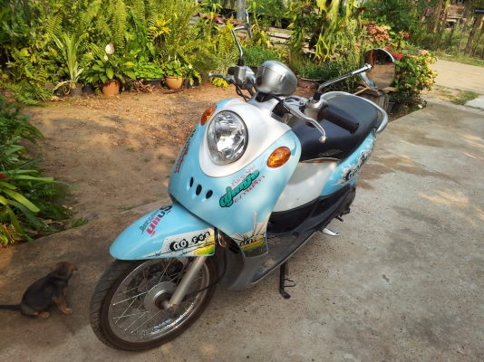 ขาย Fino ปี 50 เอกสารครบพร้อมโอน ราคา 17500