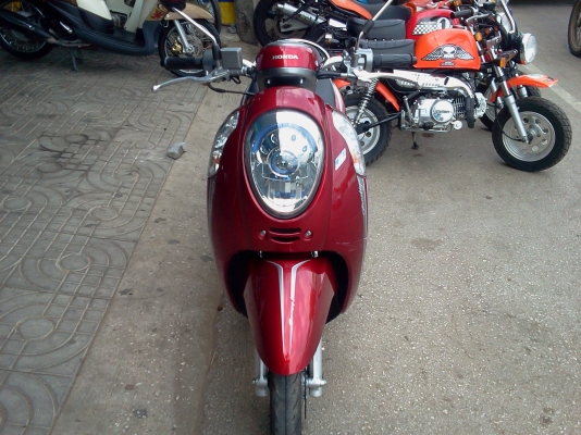 ขาย  scoopy   สภาพสวย