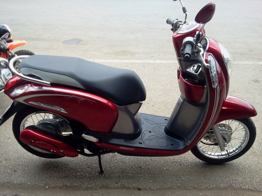 ขาย  scoopy   สภาพสวย