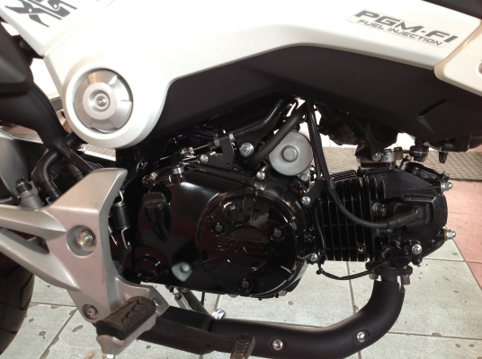 ขายด่วน! Honda MSX สวยขั้นเทพ(ขายแล้วครับ) ขายด่วน! Honda MSX สวยขั้นเทพ(ขายแล้วครับ)