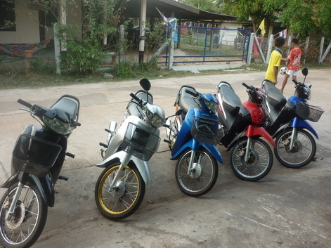 ขาย เวฟ 100 ห้าคัน ราคาเหมา ขาย 65500 บาท ขาย เวฟ 100 ห้าคัน ราคาเหมา ขาย 65500 บาท