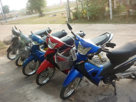 ขาย เวฟ 100 ห้าคัน  ราคาเหมา    ขาย 65500  บาท