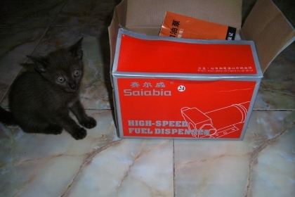 แหล่งรวมสินค้าคุณภาพในราคากลางสำหรับผู้บริโภค ของใหม่สินค้าOEM บริการจัดส่งตามออเดอร์