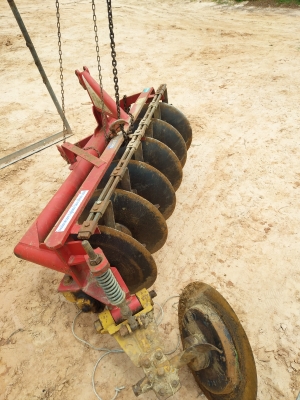 ขายหาง6ใบ24นิ้ว